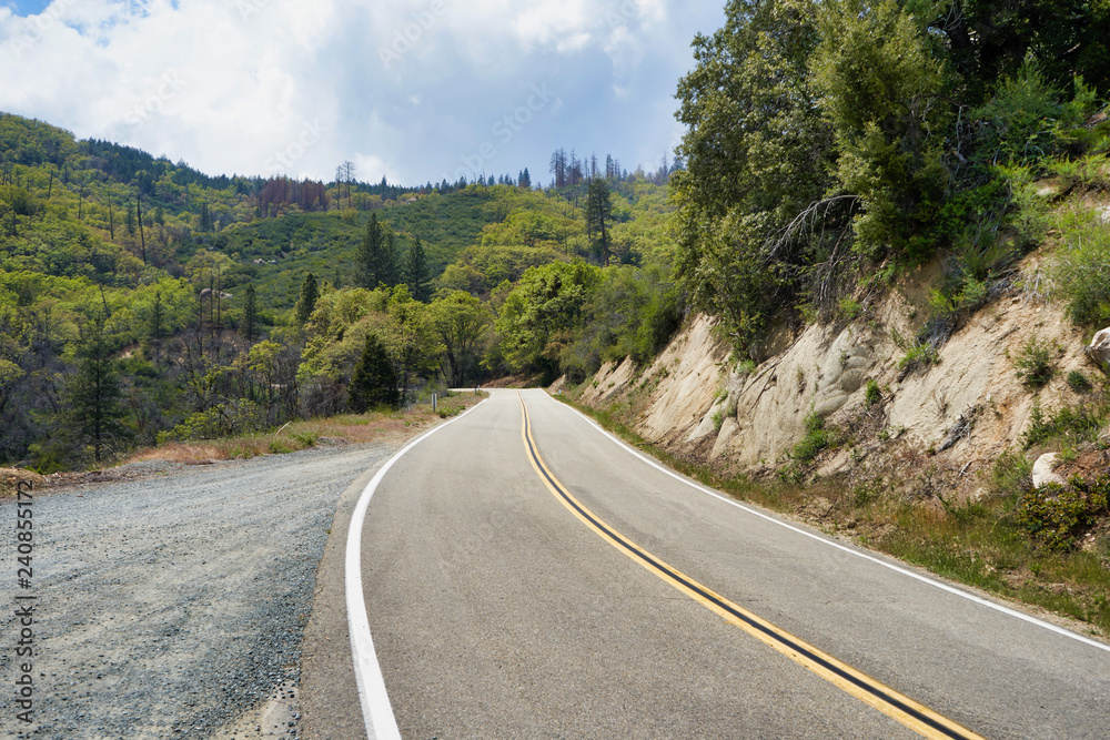 Fototapeta premium Mountain road with views of nature in Sequoia National Park