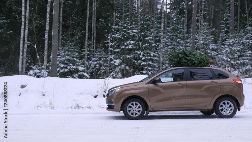 car with a Christmas tree goes on the road in the winter forest car with a Christmas tree goes on the road in the winter forest