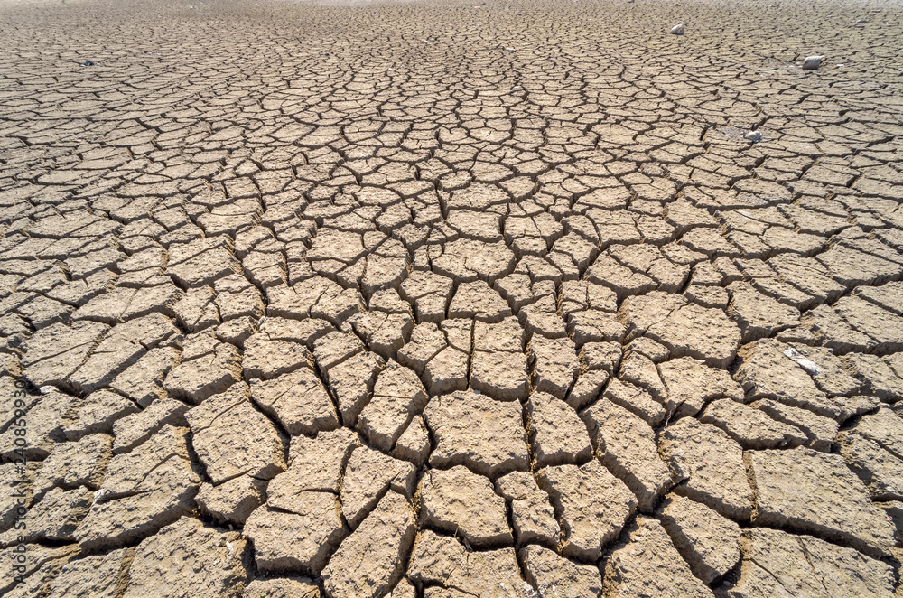 Dry cracked earth background, clay desert texture Dry cracked earth background, clay desert texture