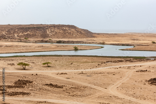 Khor Rori near Taqah, near Salalah, Dhofar Province, Oman