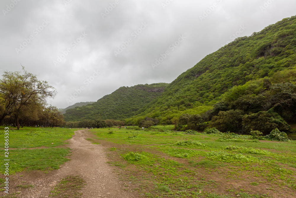 Obraz premium Wadi Darbat, near Salalah, Dhofar Province, Oman