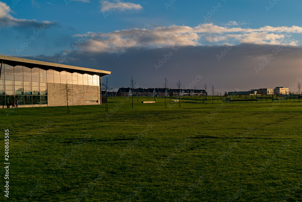 Skyline landscape in a public park in the Netherlands. beautiful field of grass during golden hour. the beauty of Holland. 