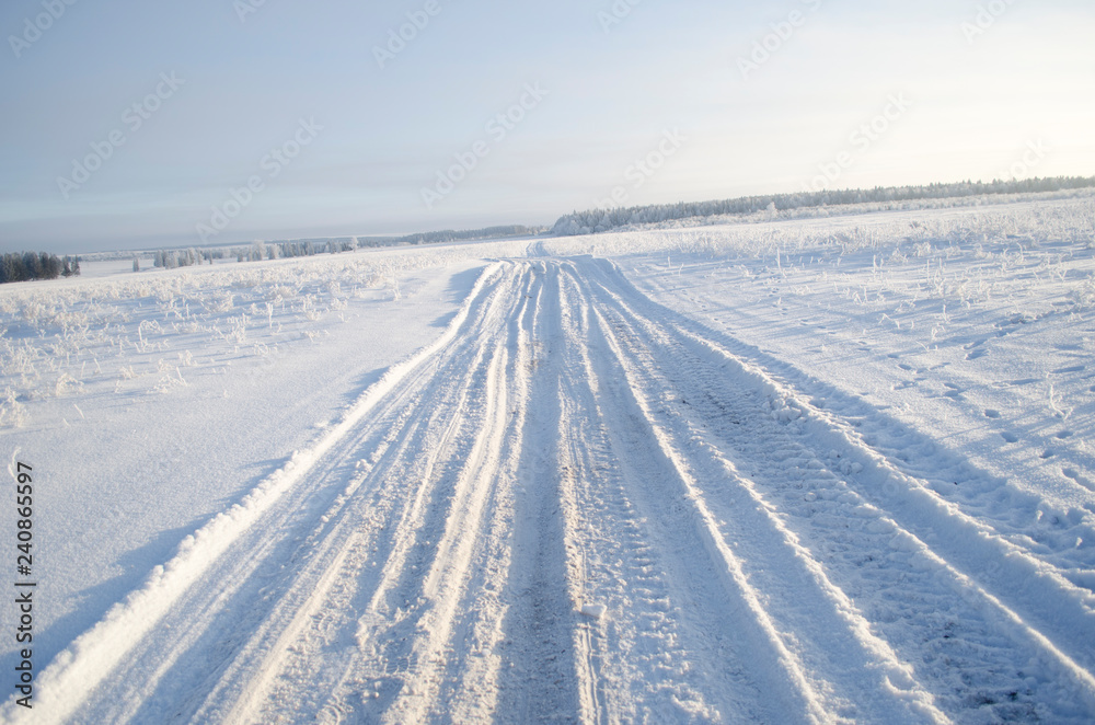 Country winter road in field
