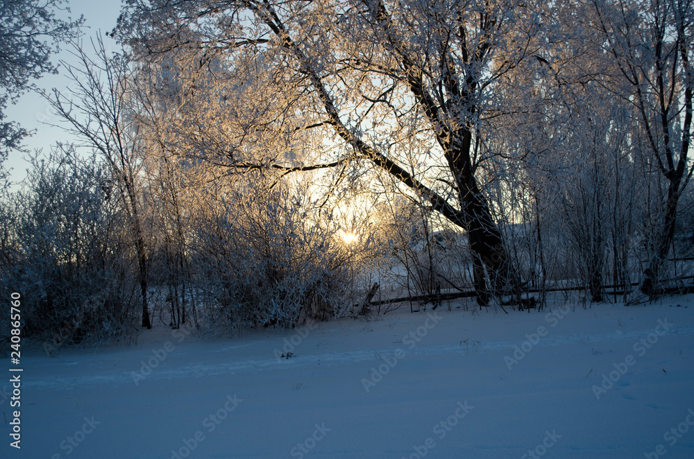 Fototapeta zimowy krajobraz, piękna przyroda