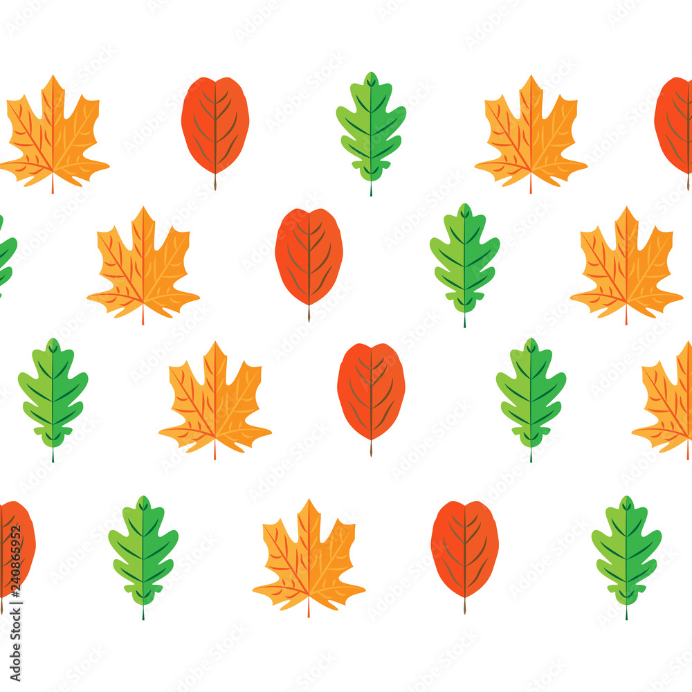 Obraz premium autumn leaves set, isolated on white background. simple cartoon flat style, vector illustration.