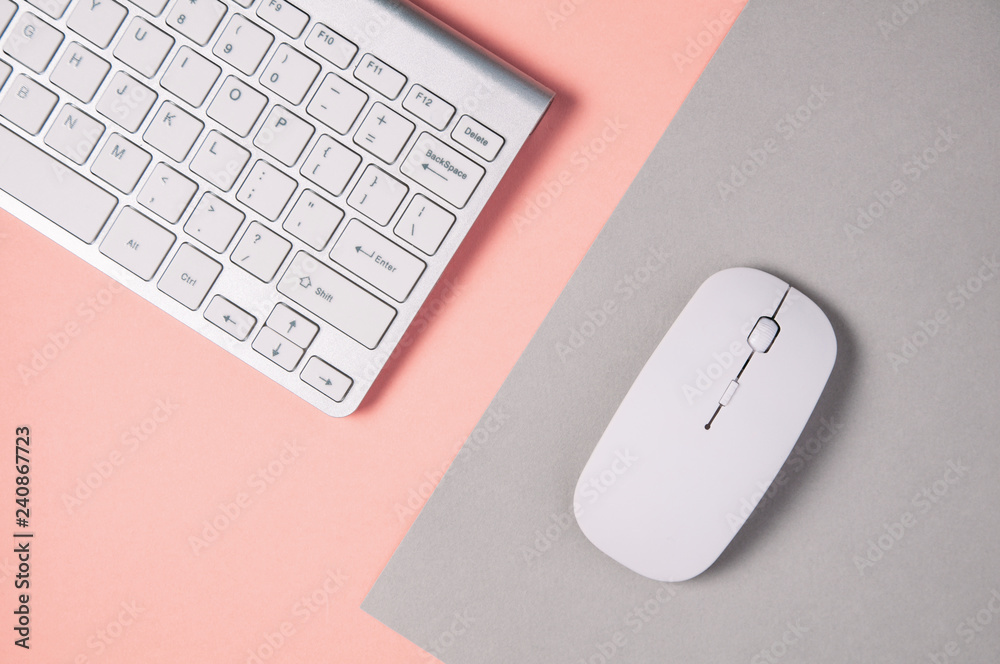 Keyboard and mouse on a pale gray-pink background Keyboard and mouse on a pale gray-pink background