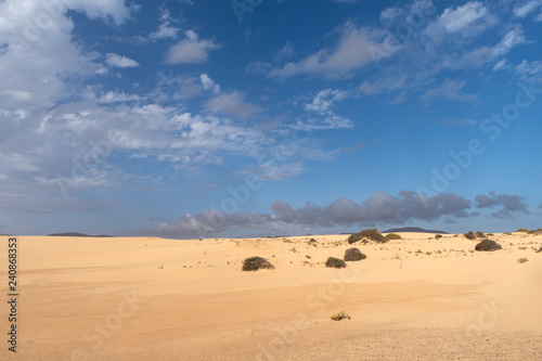 Corralejo Dunes Natural Park  Fuerteventura  Spain