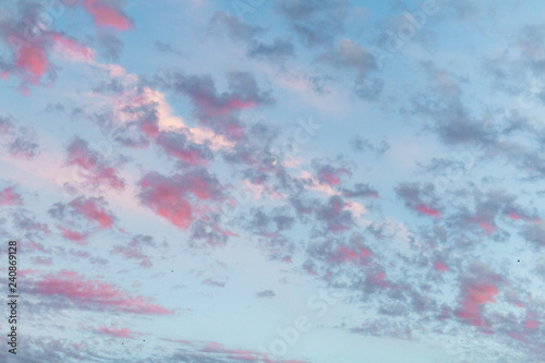 Pretty Pink Clouds In The Sky