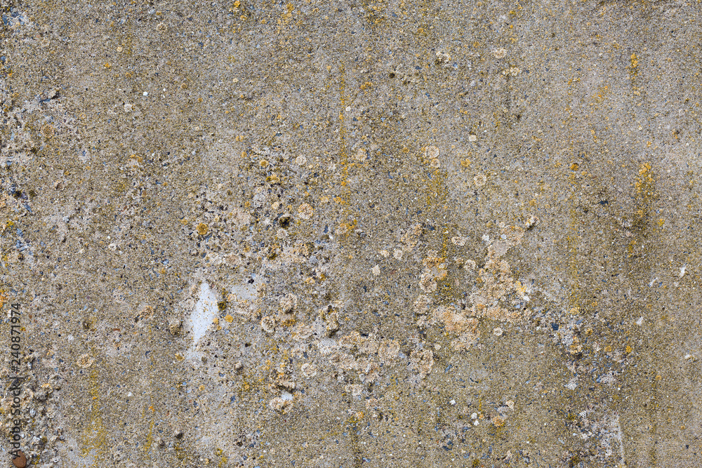 Asbestos slate texture concrete covered with lichen and moss Asbestos slate texture concrete covered with lichen and moss