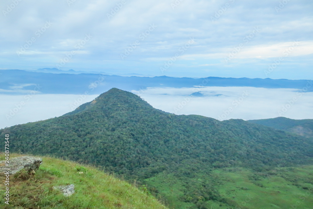Obraz premium Cloud and Fog in the morning at Doi Mon Jong, a popular mountain near Chiang Mai, Thailand