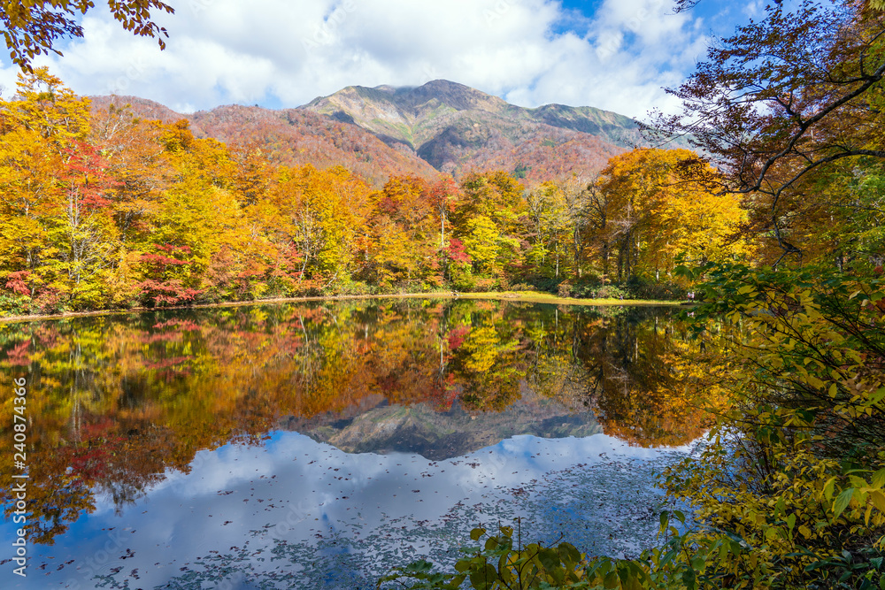 紅葉の白山国立公園・刈込池