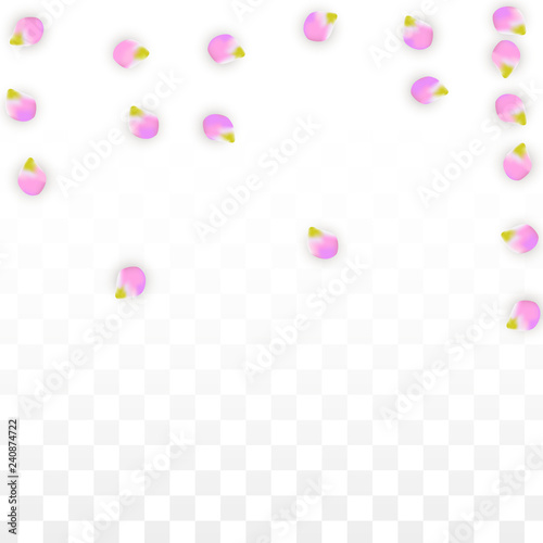 Vector Realistic Pink Petals Falling on Transparent Background. Spring Romantic Flowers Illustration. Flying Petals. Sakura Spa Design. Blossom Confetti.