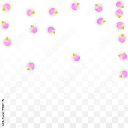 Vector Realistic Pink Petals Falling on Transparent Background.  Spring Romantic Flowers Illustration. Flying Petals. Sakura Spa Design. Blossom Confetti. © Feliche _Vero