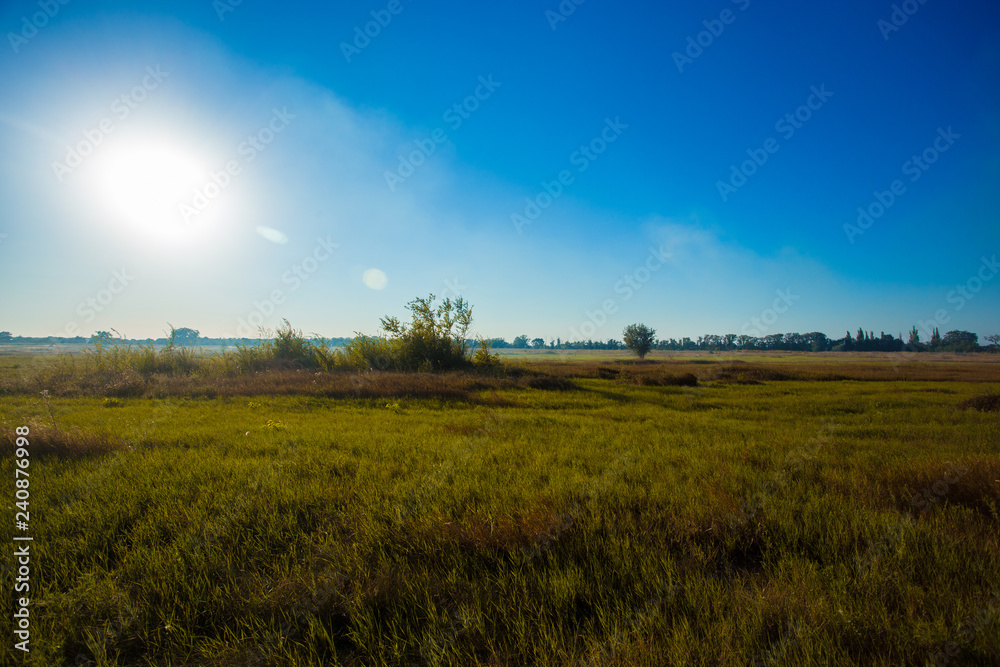 Evening summer field landscape. Beautiful sunset or sunrise over green summer field meadow