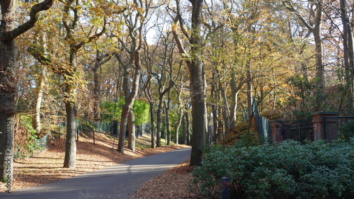 alley in the park