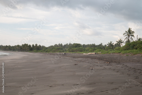 dark beach with clouds and fog