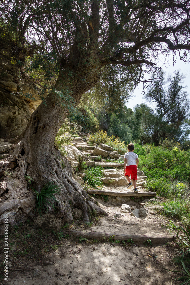 Boy on adventure climbing steps Crete Greece Europe