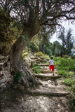Boy on adventure climbing steps Crete Greece Europe