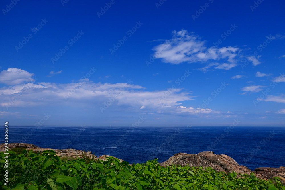 三陸海岸国立公園。本州最東端・重茂半島、魹ヶ崎より太平洋を臨む。宮古　岩手　日本。５月下旬。