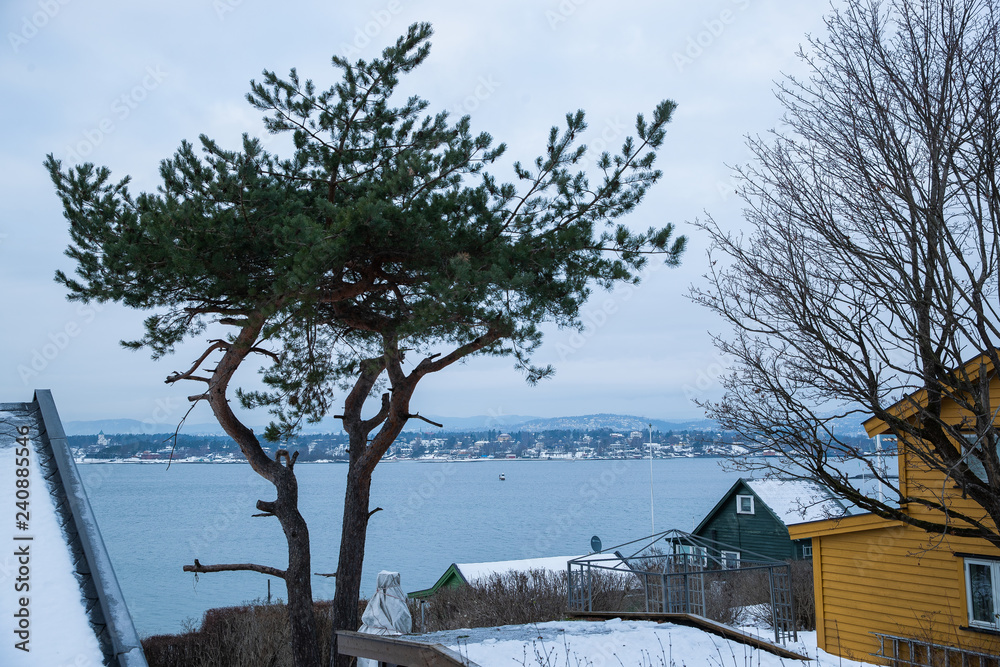 Traditional cottages on the islands around Oslo Norway during the winter overlooking the sea and the Fjord in snow condition