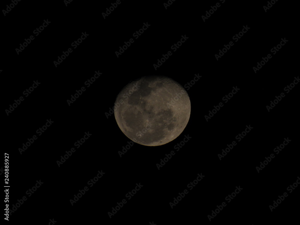 Fototapeta premium Luna