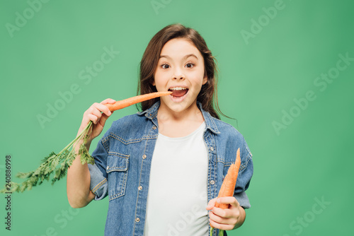 Bild auf Leinwand child eating carrots and looking at camera isolated on green