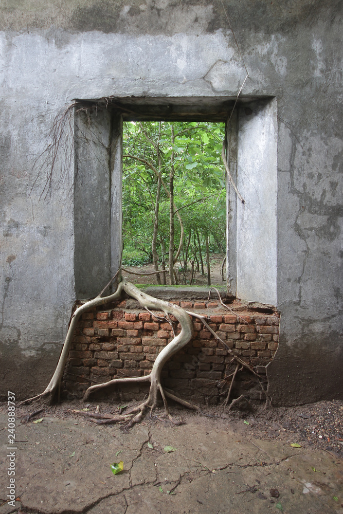 Obraz premium ancient brick window with nature and old concrete stone wall surrounding with tree roots outside view in historical temple for poster announcement