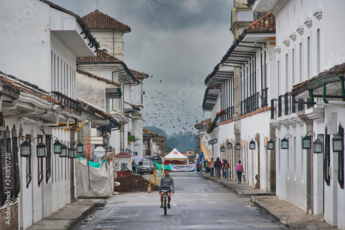flock of pigeons over the road