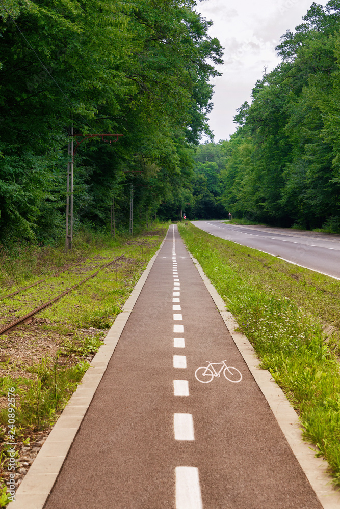 marking cycle path along summer forest marking cycle path along summer forest
