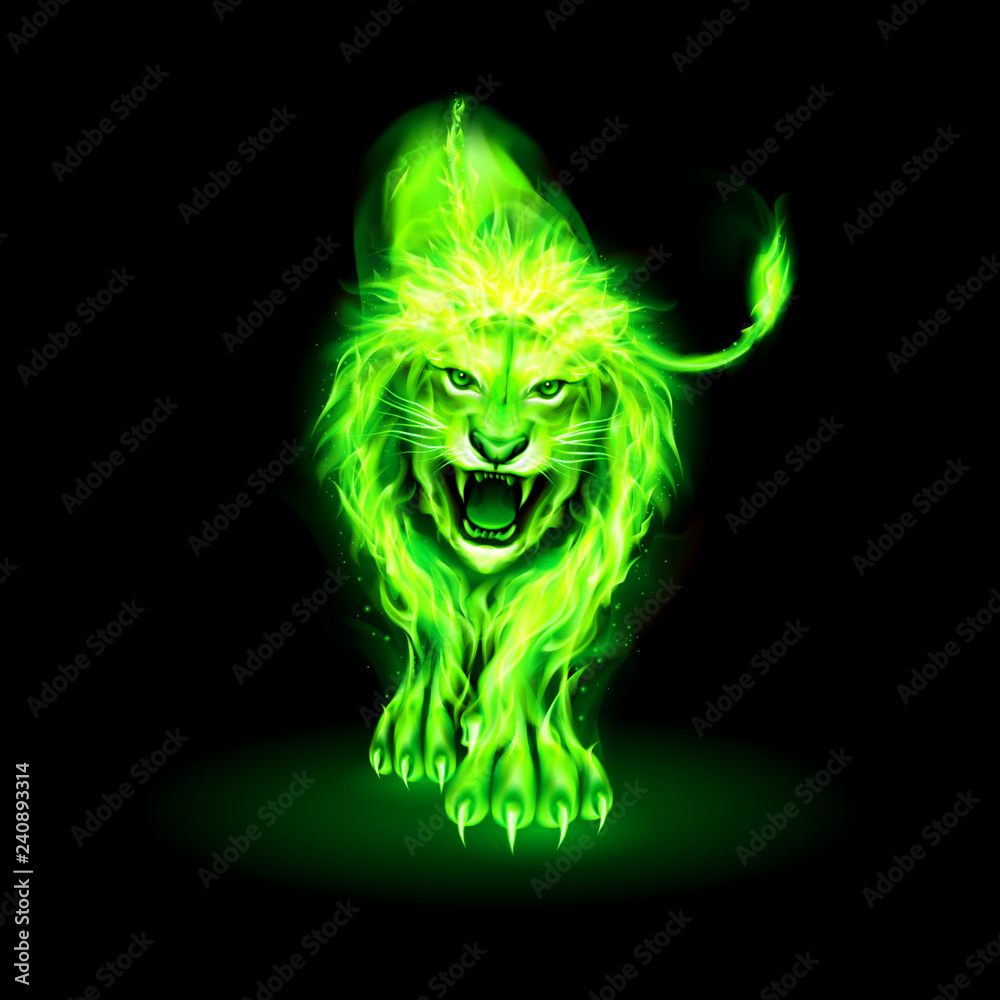 Fire Lion Fire Lion