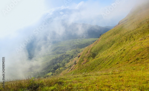 fresh green field on top of the mountain at Monjong  Chiang Mai  Thailand