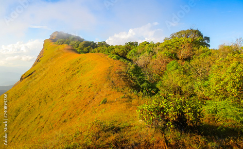 fresh green field on top of the mountain at Monjong, Chiang Mai, Thailand photo