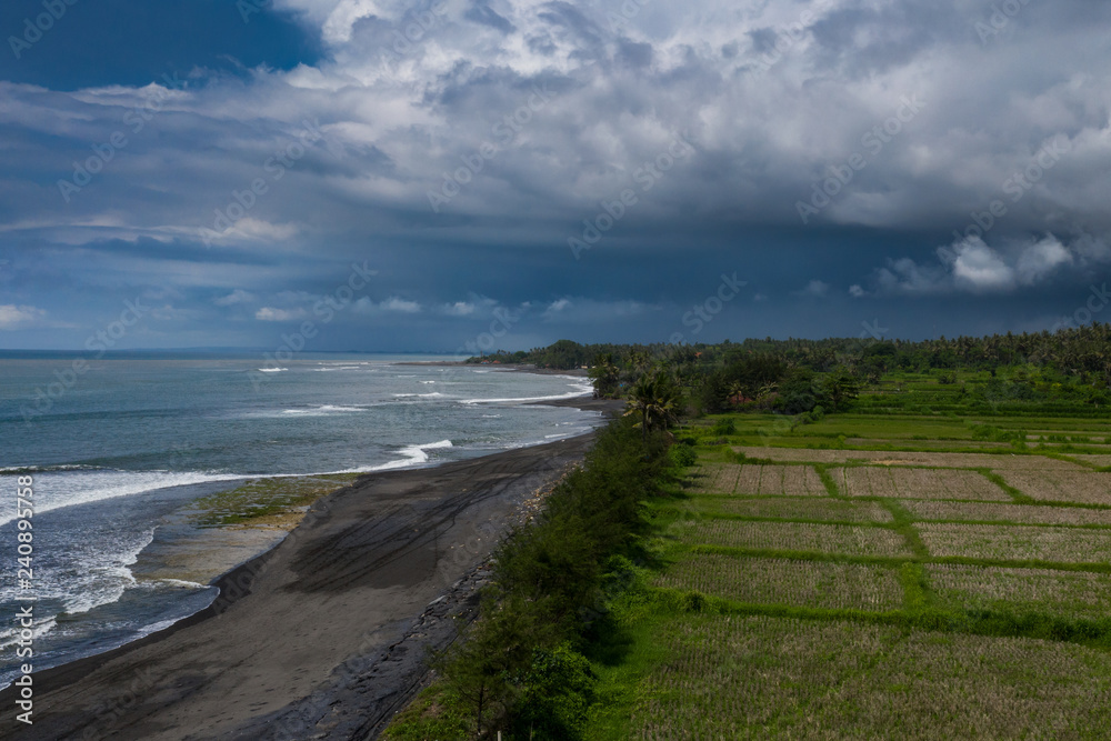 Arial shot of black sand beach and rice fields in Bali, Indonesia
