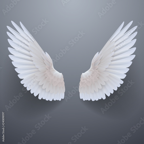 Realistic white wings