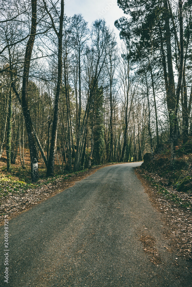 On the road again. Mountain road near to Arenas de San Pedro , Avila. Castilla Leon, Spain.