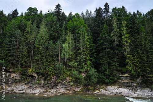 mountain river in the background of a cliff with a forest and mountains
