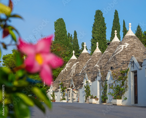 Famous houses architecture with conical roofs in Alberobello village of Trulli in Italy photo