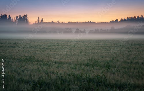 Bright summer night landscape with fog and afterglow in countryside Finland.