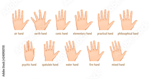 vector set of Different forms of palms for palmistry © Mosaic