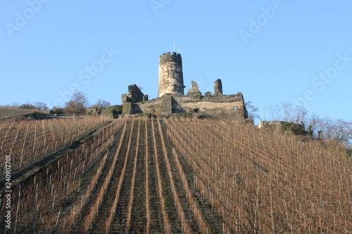 Burg Fürstenberg in Rheindiebach photo