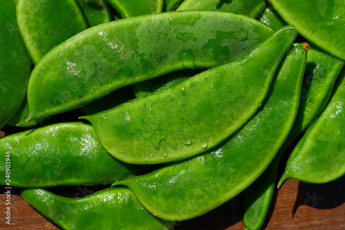 Garrofon beans Phaseolus lunatus fresh
