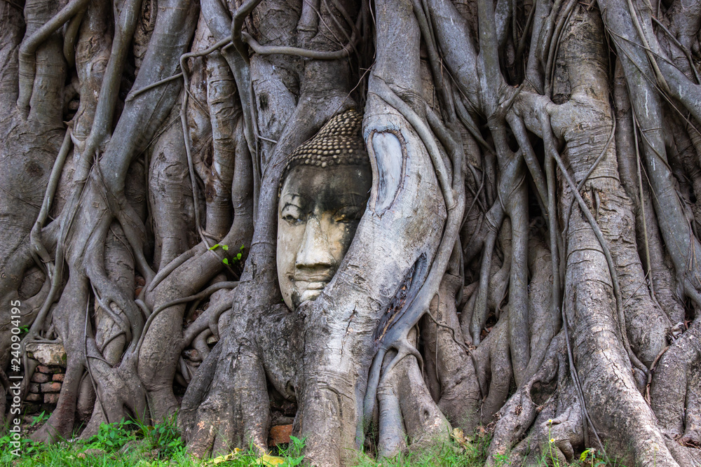Head of Buddha statue in root of bodhi tree at Wat Mahathat in Ayutthaya Thailand. Head of Buddha statue in root of bodhi tree at Wat Mahathat in Ayutthaya Thailand.