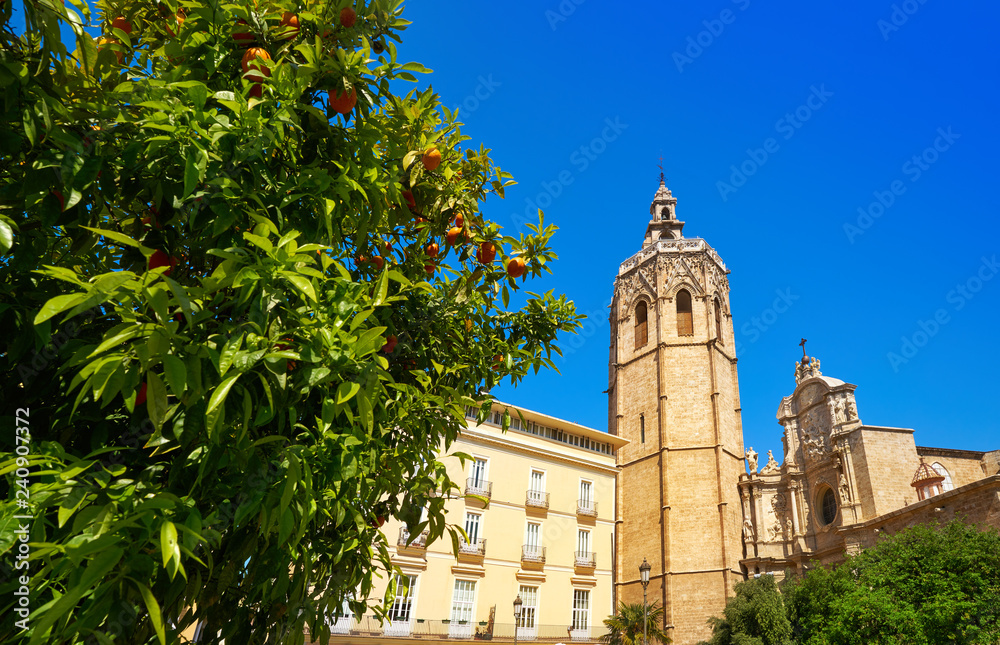 Valencia Plaza de la Reina square Miguelete Valencia Plaza de la Reina square Miguelete