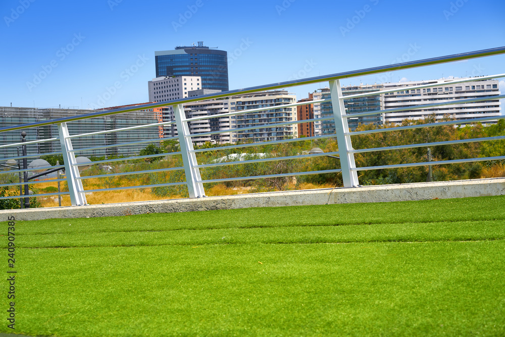 Valencia train railway and grass Spain Valencia train railway and grass Spain
