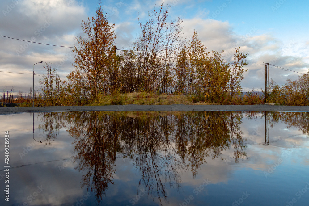 Reflection of trees of posts and clouds in a puddle, Norilsk Reflection of trees of posts and clouds in a puddle, Norilsk