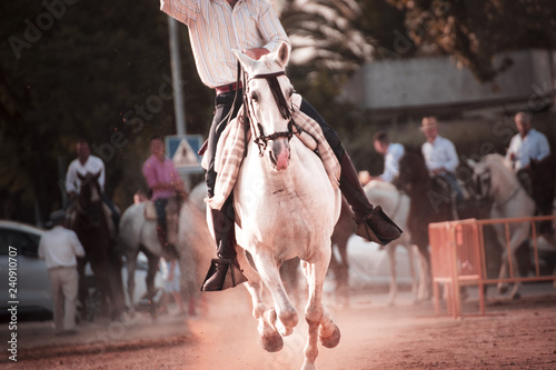 montando caballos andaluces en acción