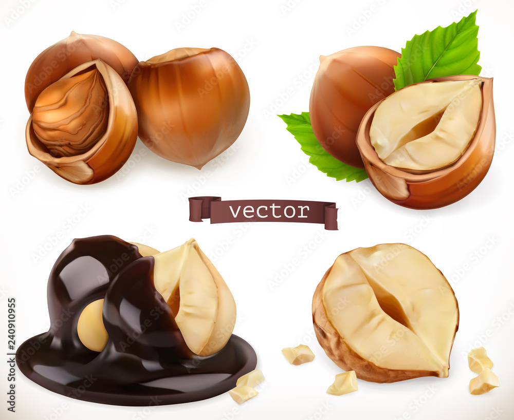 Hazelnut. 3d realistic vector icon set Stock Vector | Adobe Stock