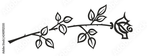 rose2812a