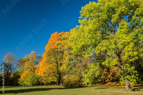 Colorful autumn landscape, yellow, orange and green leaves on trees, bright sunny autumn day in a city park, clear blue sky, shadow on grass