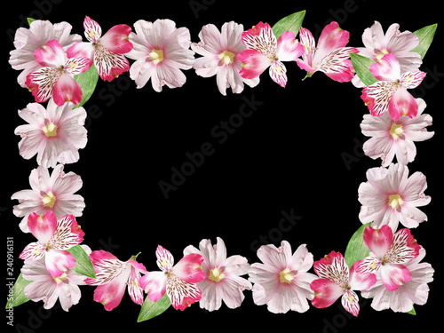 Frame of pink Alstroemeria and mallow 